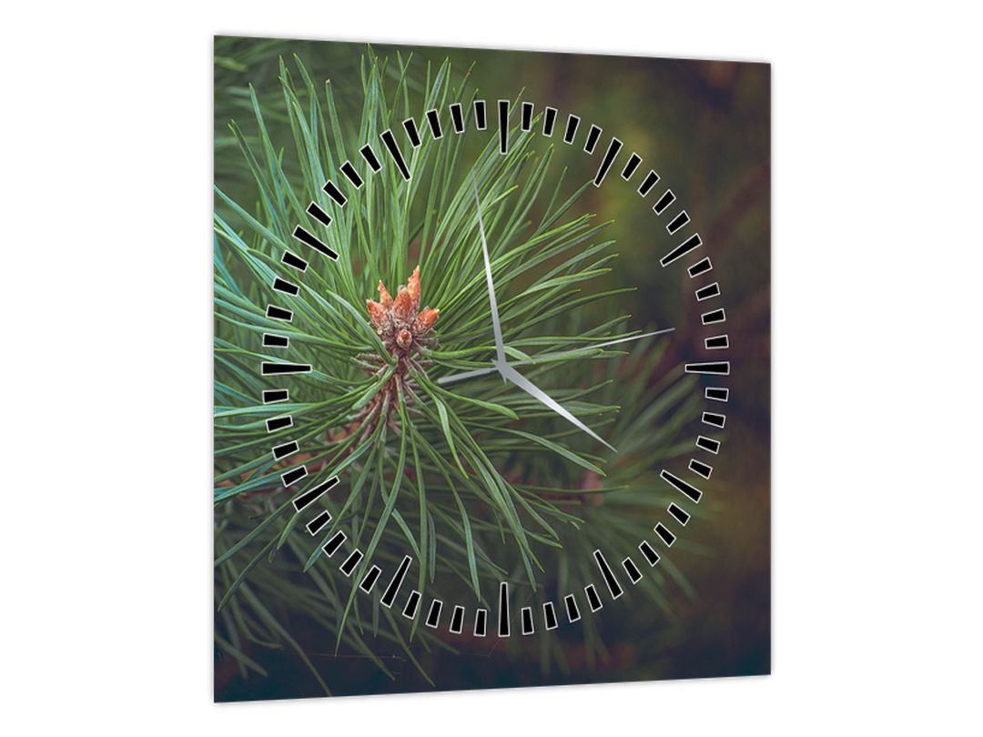 Obraz - Detail borovice (s hodinami) (V022617V3030C)