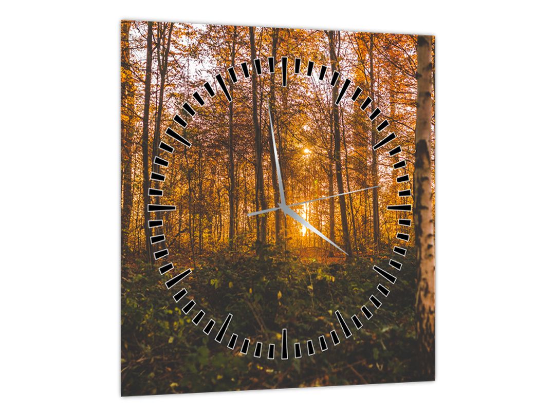 Obraz podzimního lesa (s hodinami) (V022643V3030C)