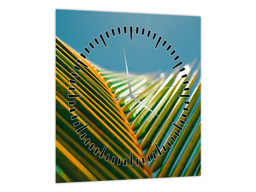 Obraz - Detail palmového listu (s hodinami) (V022685V3030C)