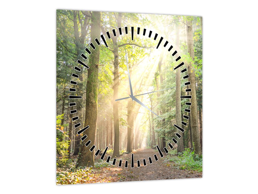 Obraz pěšiny v lese (s hodinami) (V022694V3030C)