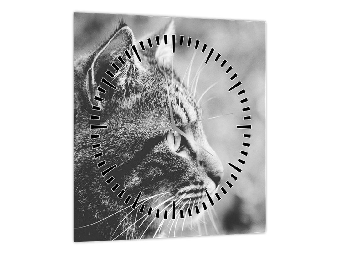 Obraz - Kočka (s hodinami) (V022727V3030C)