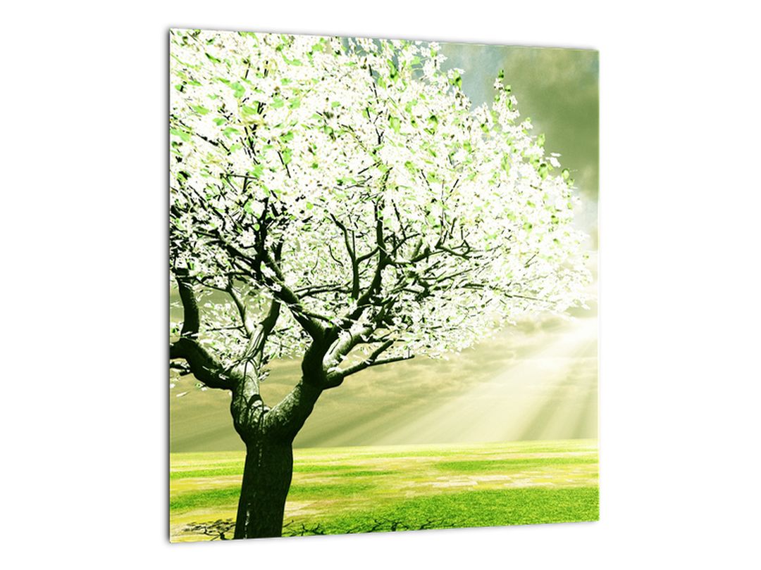 Skleněný obraz kvetoucího stromu (V020004V3030GD)
