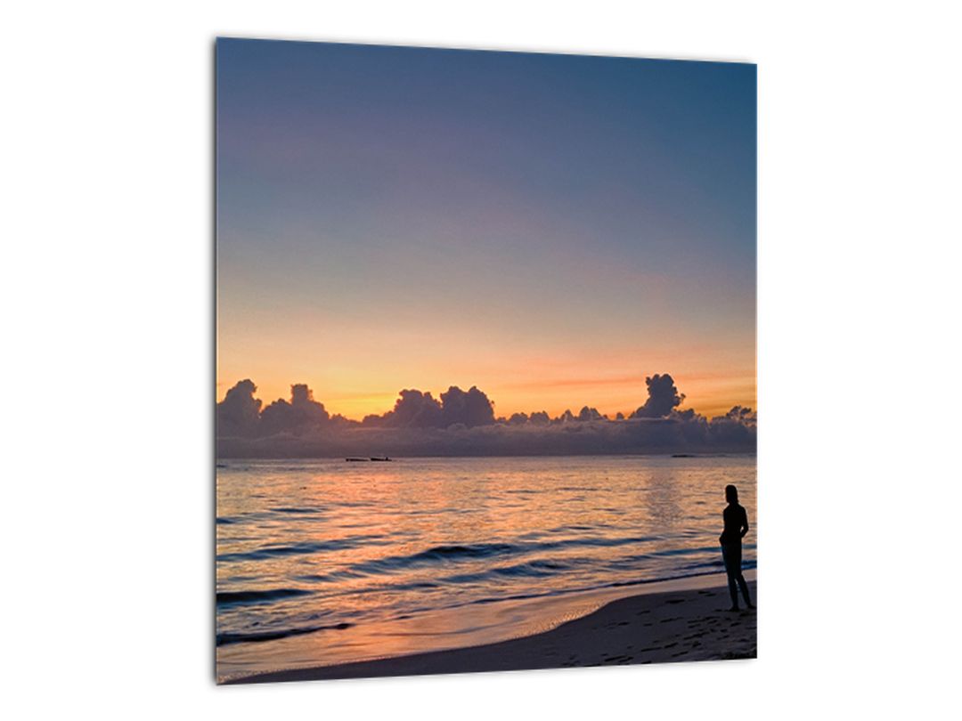 Skleněný obraz ženy na pláži (V020204V3030GD)