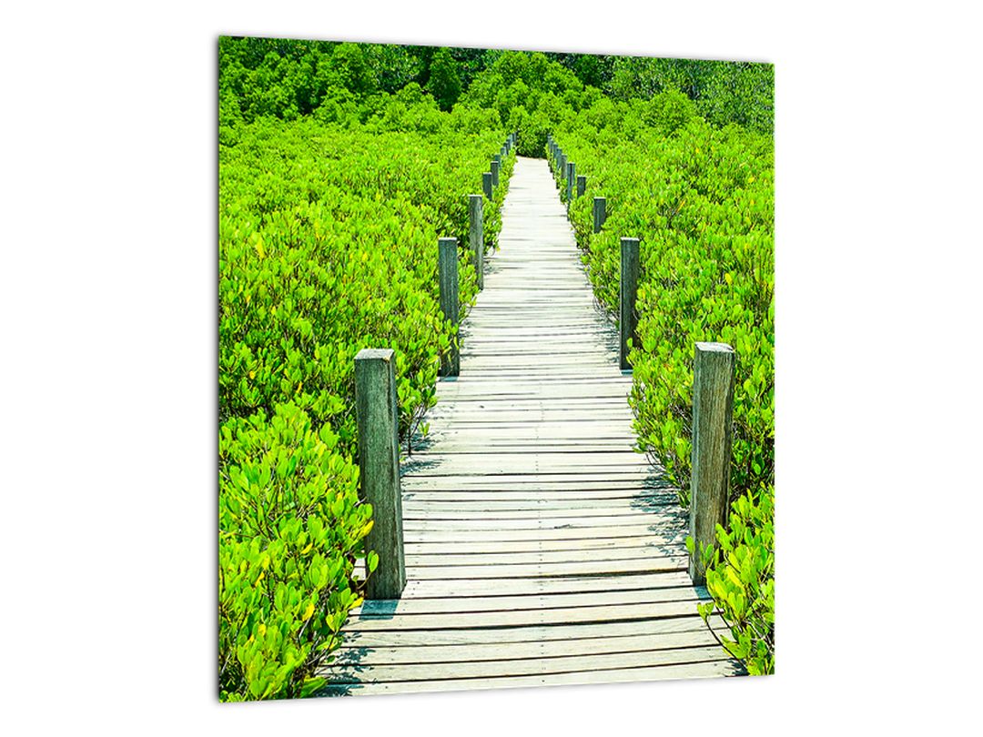 Skleněný obraz - dřevěný chodník (V020283V3030GD)
