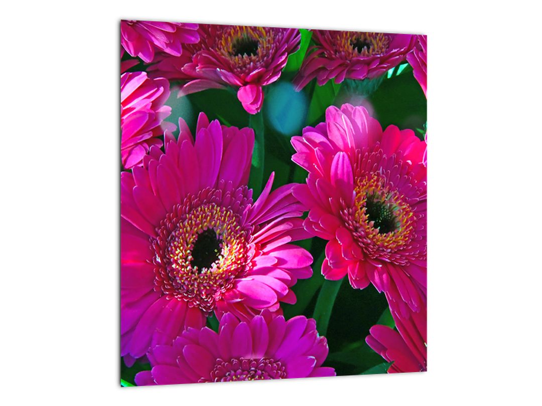 Skleněný obraz - květiny (V020304V3030GD)