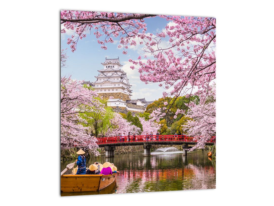 Skleněný obraz japonské třešně (V020346V3030GD)