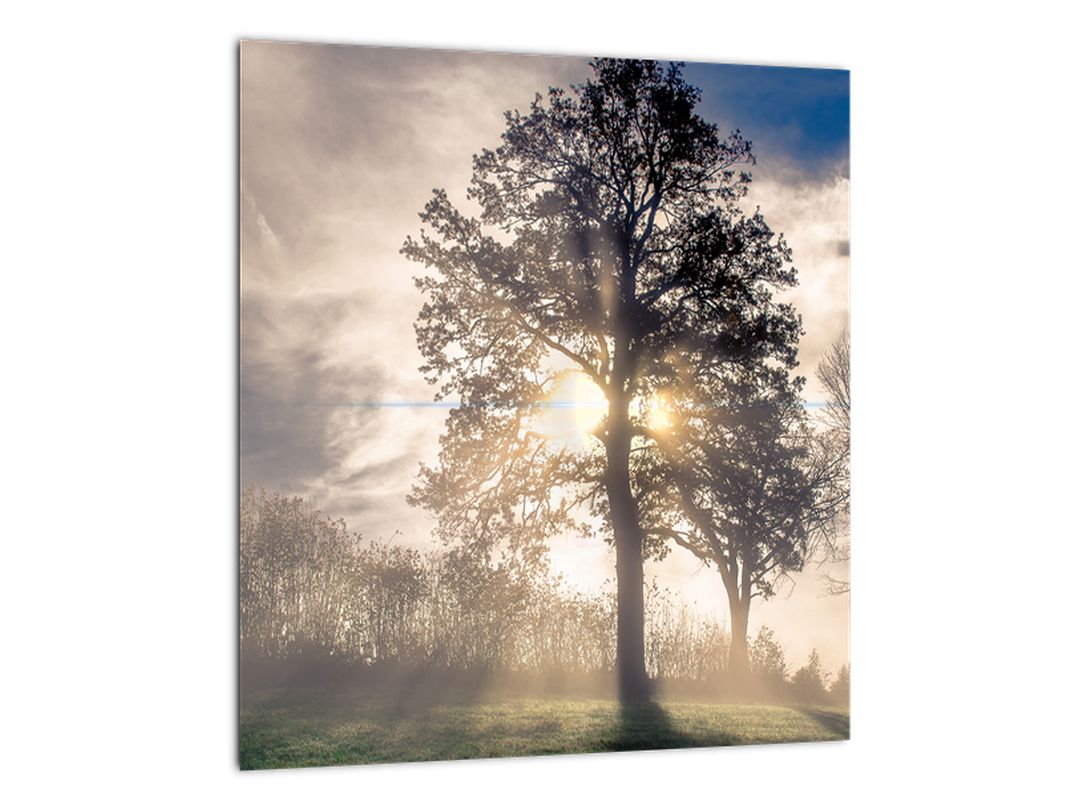 Skleněný obraz stromu v mlze (V020378V3030GD)