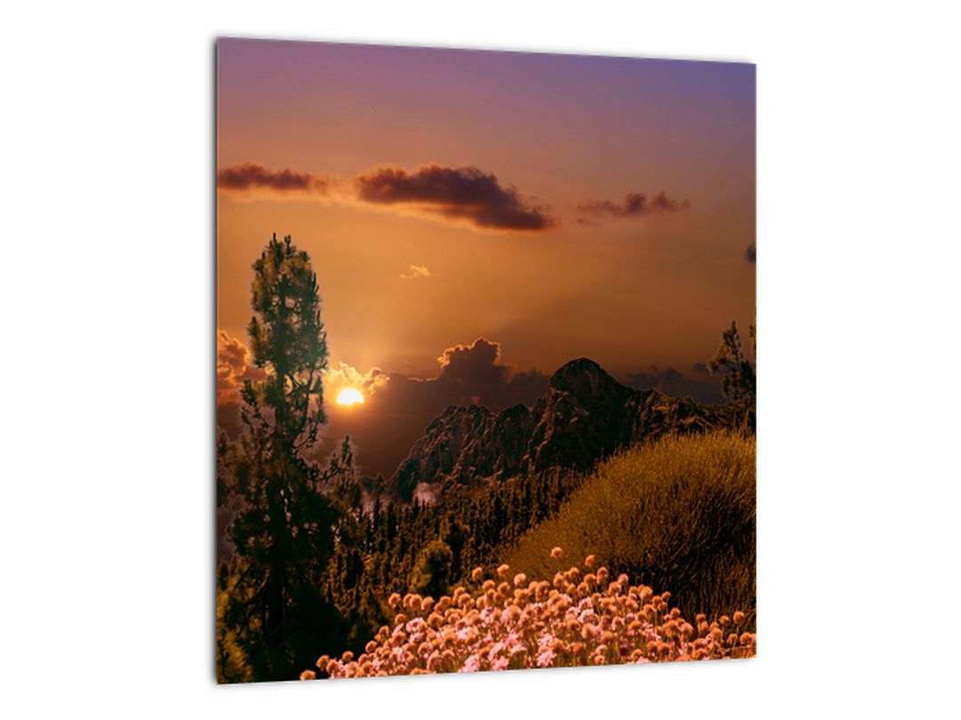 Skleněný obraz přírody se západem slunce (V020383V3030GD)