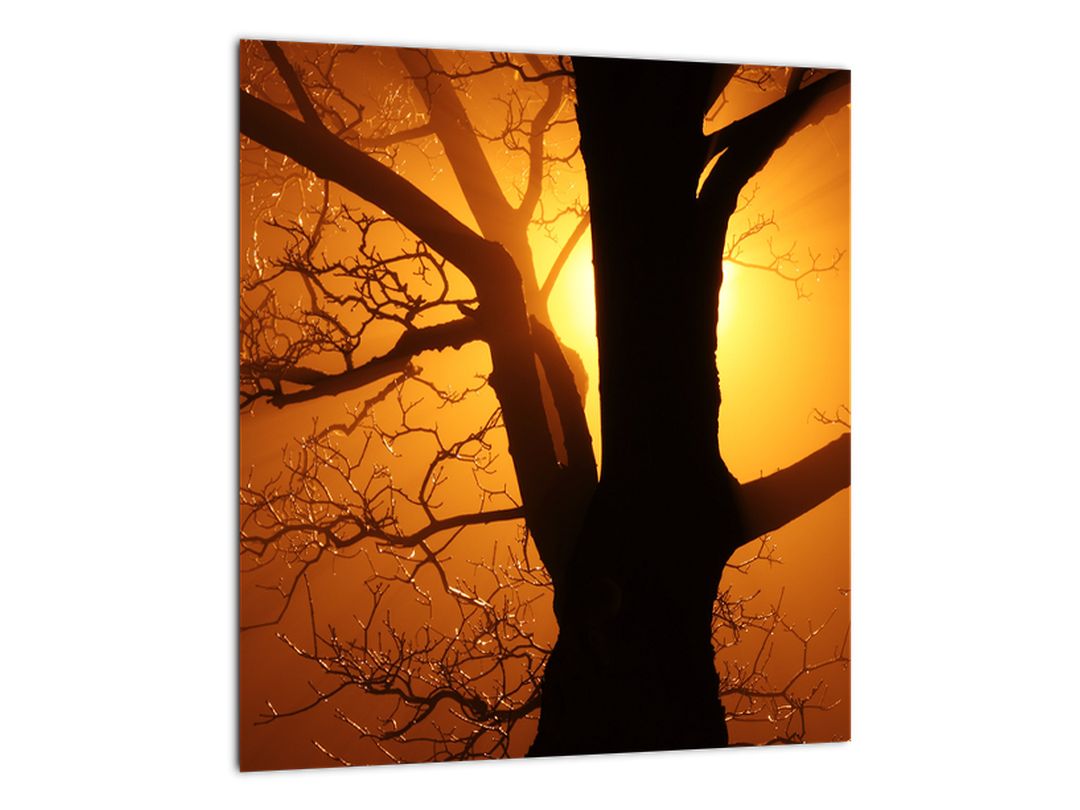Skleněný obraz stromu v západu slunce (V020431V3030GD)