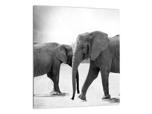 Tablou pe sticlă cu elefanți (V020900V3030GD)