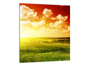 Steklena slika travnika s sijočim soncem (V021174V3030GD)