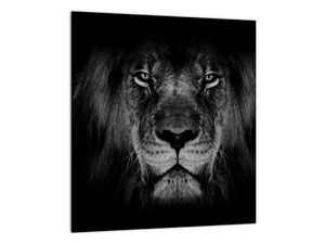 Glasschilderij - Imposante leeuw