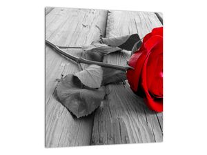 Sklenený obraz červených ruží (V022288V3030GD)