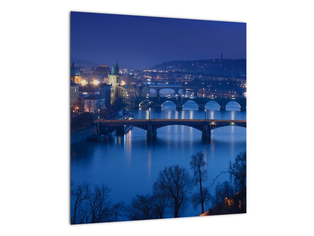 Obraz pražských mostů (V020932V4040)