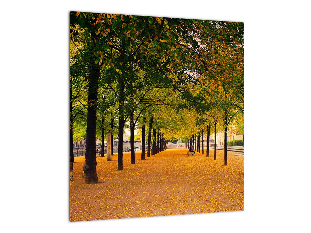 Obraz aleje podzimních stromů (V020953V4040)