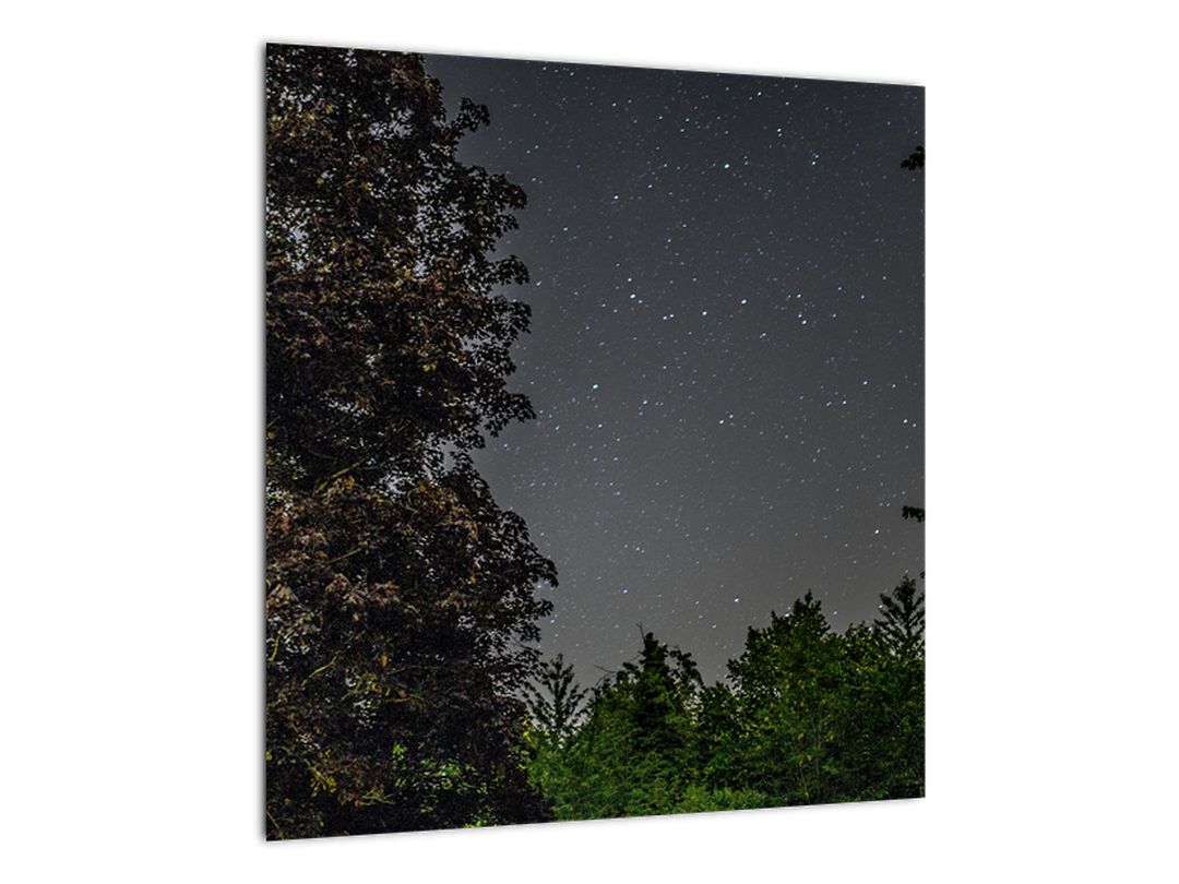 Obraz noční oblohy (V020998V4040)