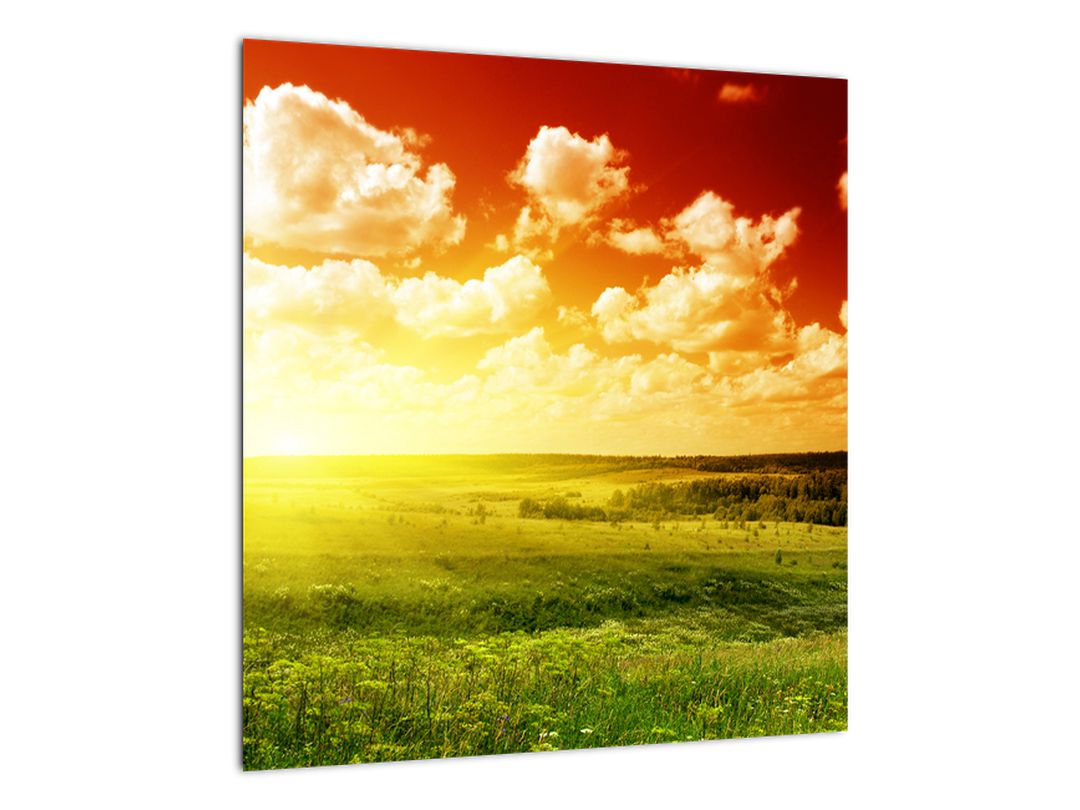 Slika travnika s sijočim soncem (V021174V4040)