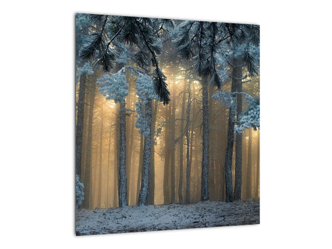 Obraz zasněženého lesa (V022318V4040)
