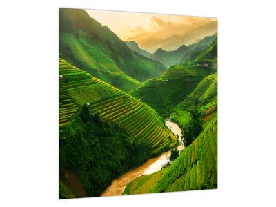 Bild auf Leinwand - Mu Cang Chai Reisterrassen