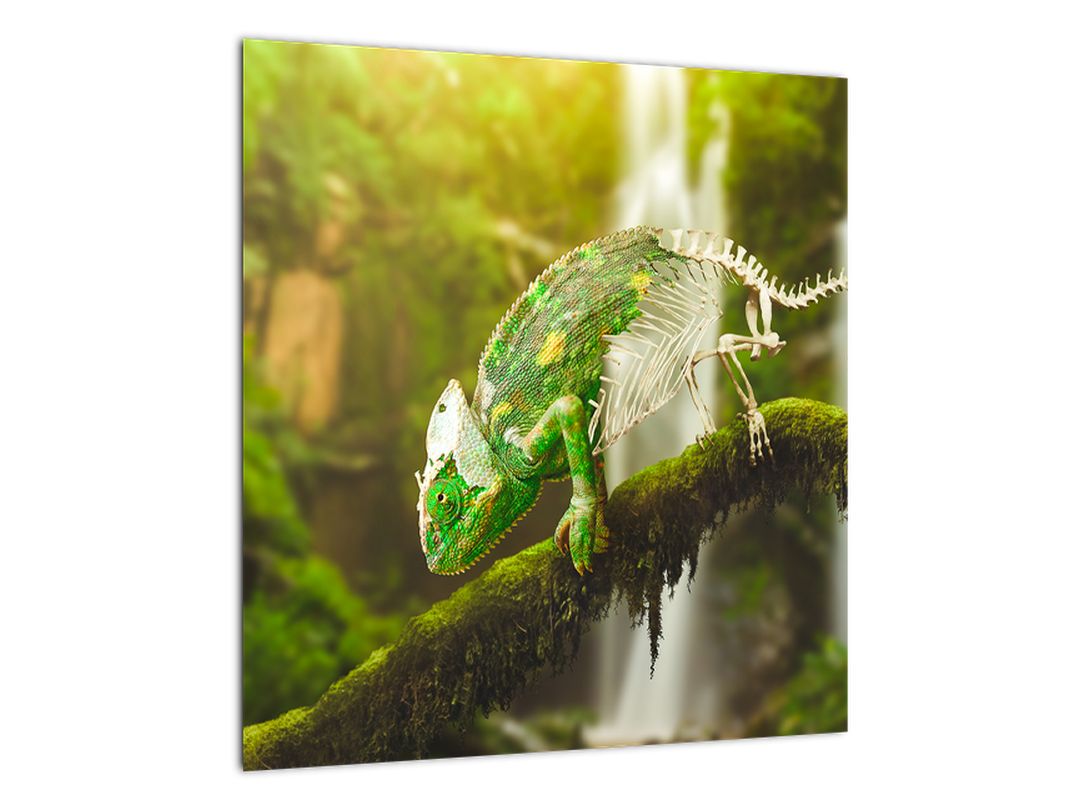 Skleněný obraz chameleona (V020277V4040GD)