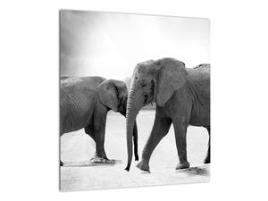 Tablou pe sticlă cu elefanți (V020900V4040GD)