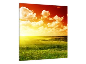 Steklena slika travnika s sijočim soncem (V021174V4040GD)