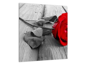 Egy vörös rózsa képe (üvegen) (V022288V4040GD)