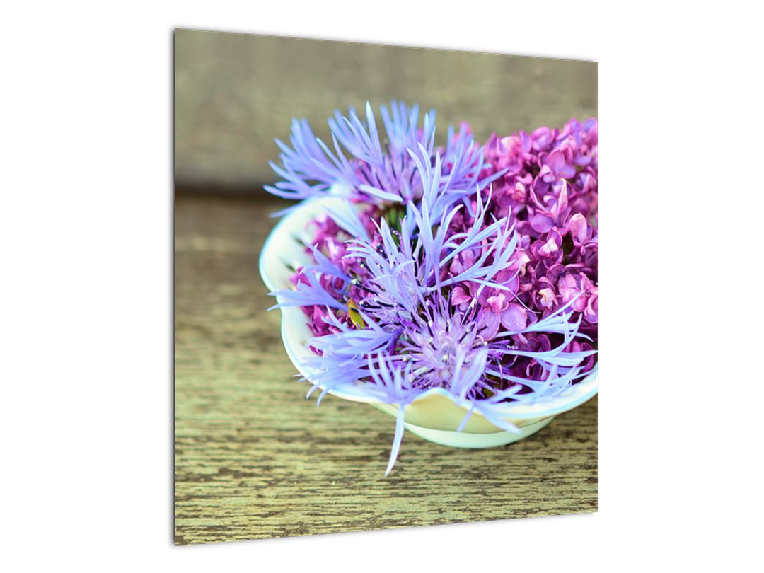 Obraz - fialová rostlinka (V020582V5050)