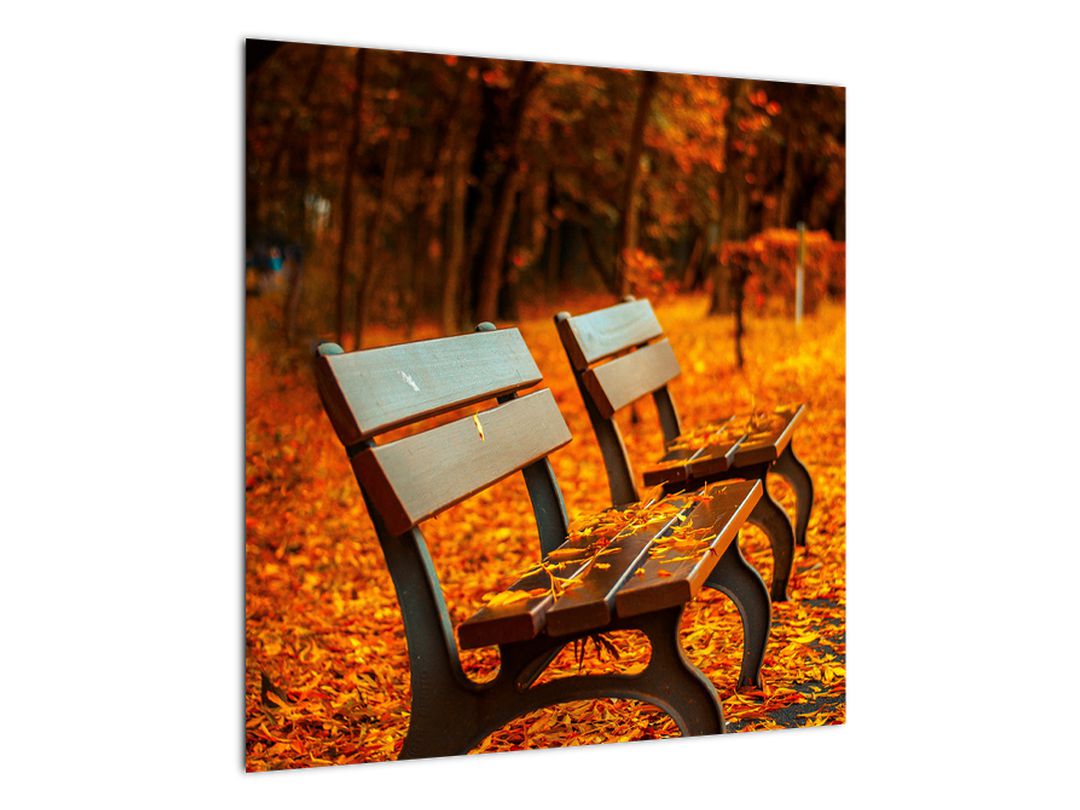 Obraz lavičky v podzimu (V020588V5050)