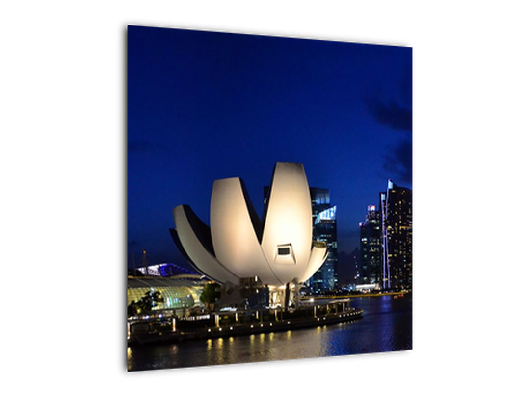 Obraz nočního Singapouru (V020610V5050)