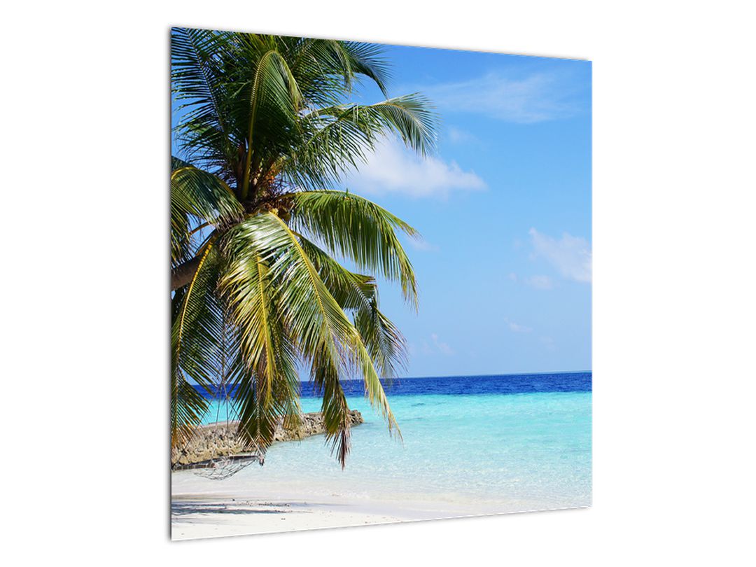 Obraz palmy na pláži (V020612V5050)