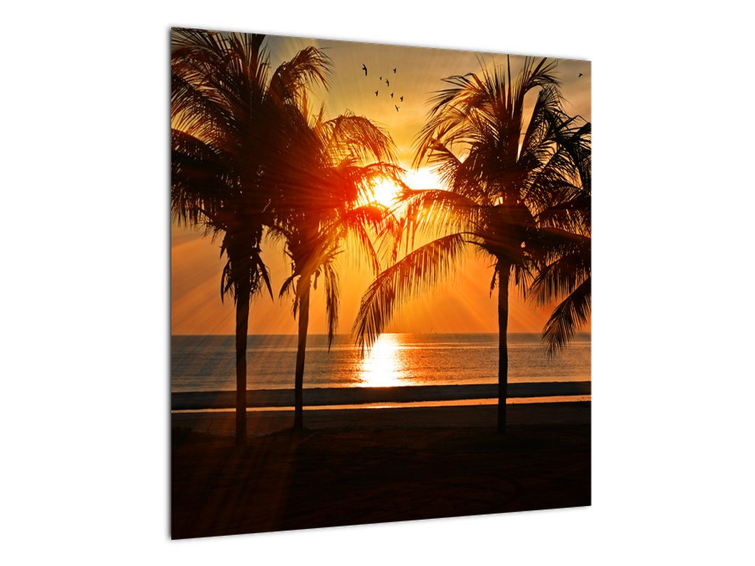 Obraz palmy v západu slunce (V020622V5050)