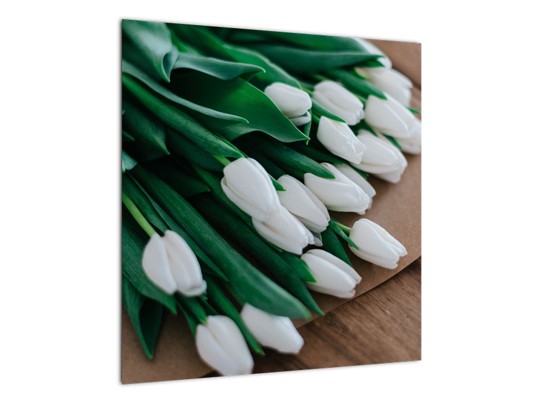 Obraz kytice bílých tulipánů (V020922V5050)