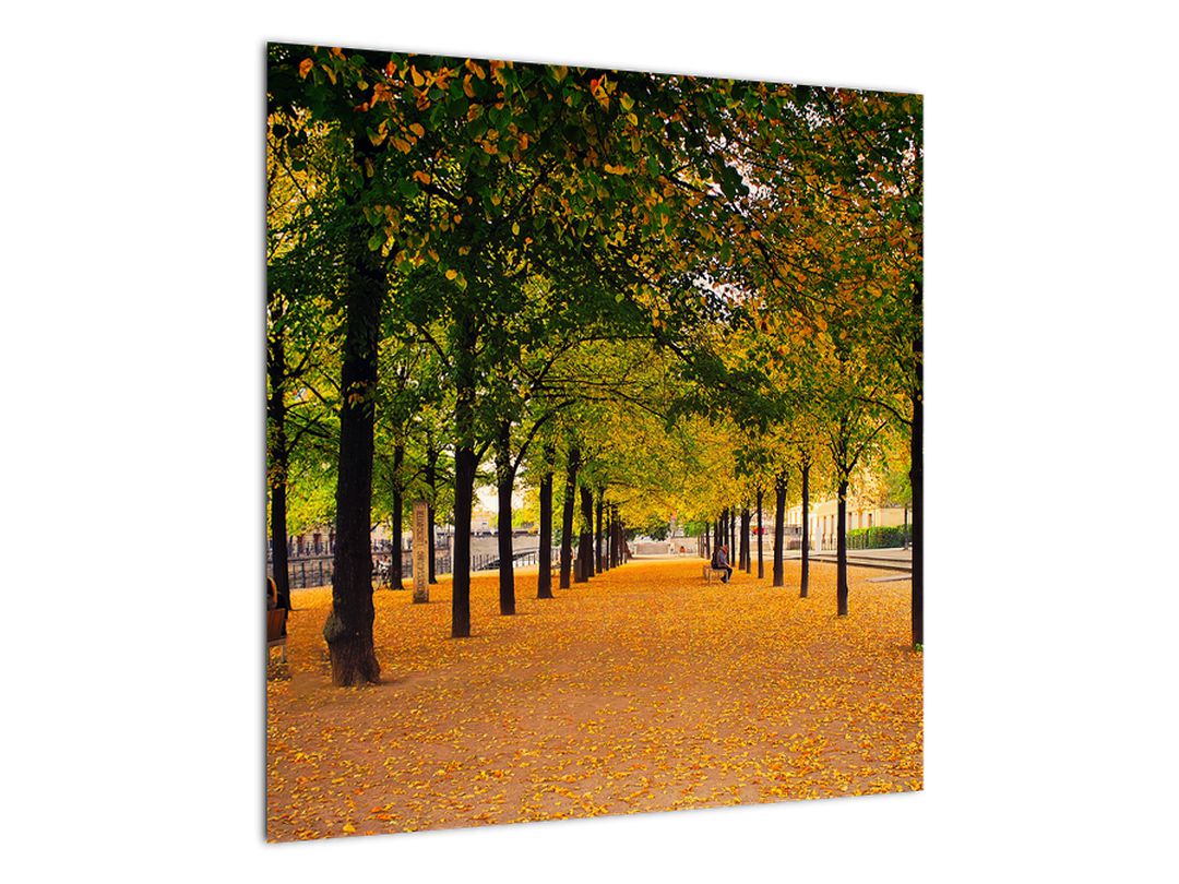 Obraz aleje podzimních stromů (V020953V5050)