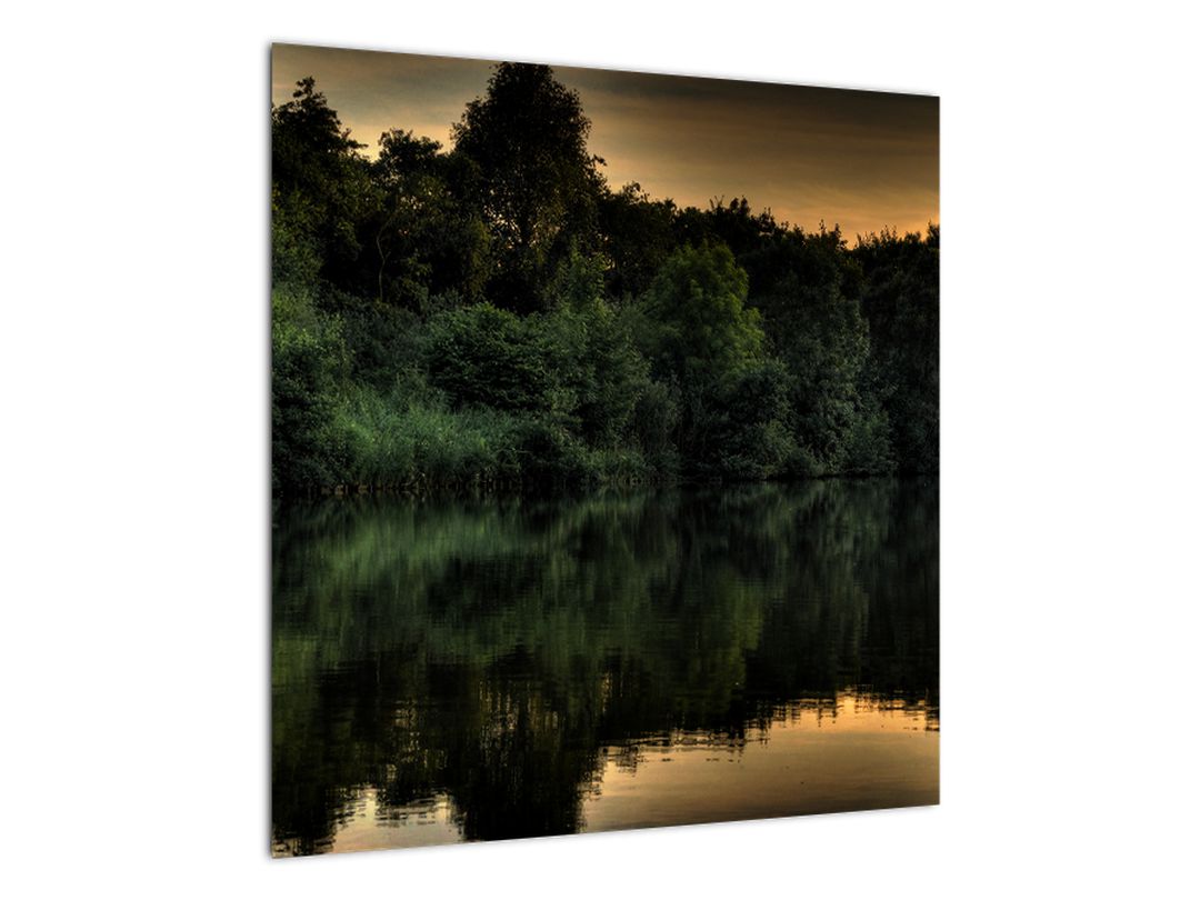 Obraz jezera u lesa (V020974V5050)