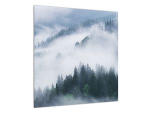 Bild auf Leinwand - Bäume im Nebel