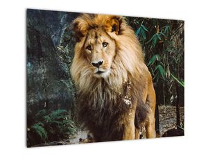 Obraz lwa w naturze