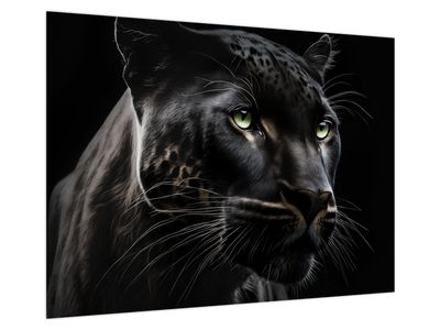 Schilderij - Zwarte Panter