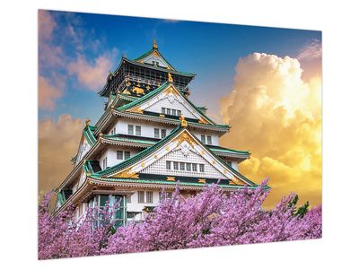 Bild auf Leinwand - Schloss Osaka