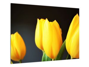 Staklena slika tulipana