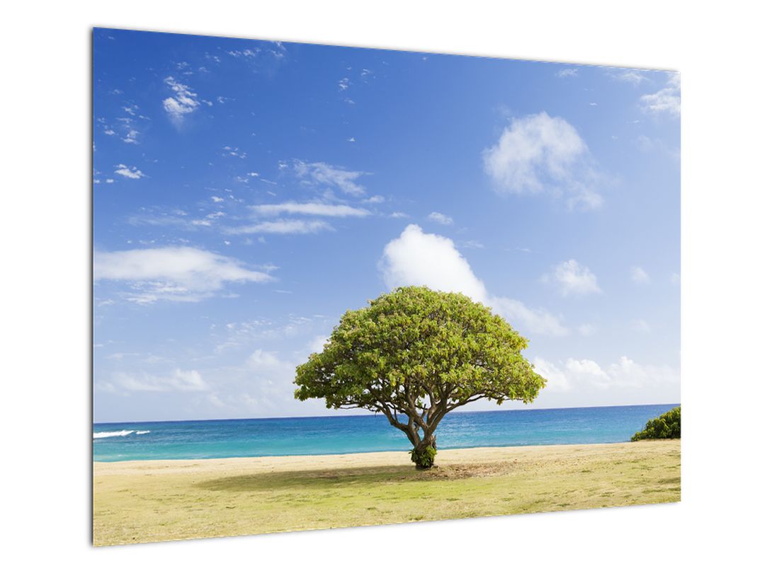 Skleněný obraz pláže se stromem (V020200V7050GD)
