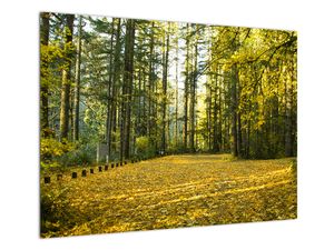 Staklena slika - šuma u jesen