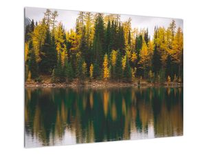 Tablou pe sticlă cu lac de pădure