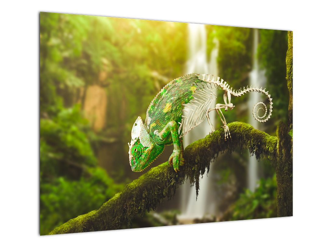 Skleněný obraz chameleona (V020277V7050GD)