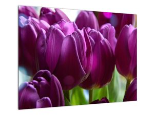 Skleněný obraz tulipánů