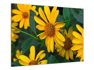 Staklena slika žutih cvjetova