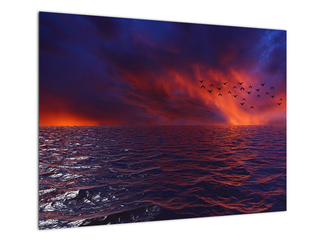 Skleněný obraz moře s ptáky (V020351V7050GD)