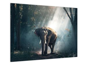 Steklena slika slona v džungli