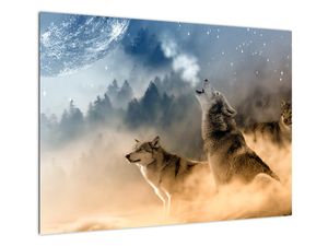 Skleněný obraz - vlci vyjící na měsíc (V020509V7050GD)