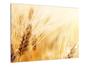 Staklena slika - detalj žita